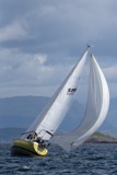 nine to five 925k whyw25 sun 750_3604